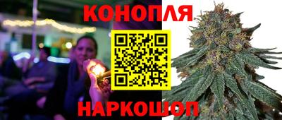 гашик Дубна