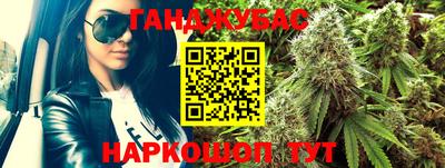 гашик Дубна