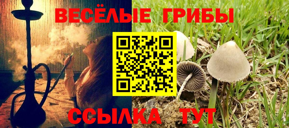 Галлюциногенные грибы мухоморы Лесной
