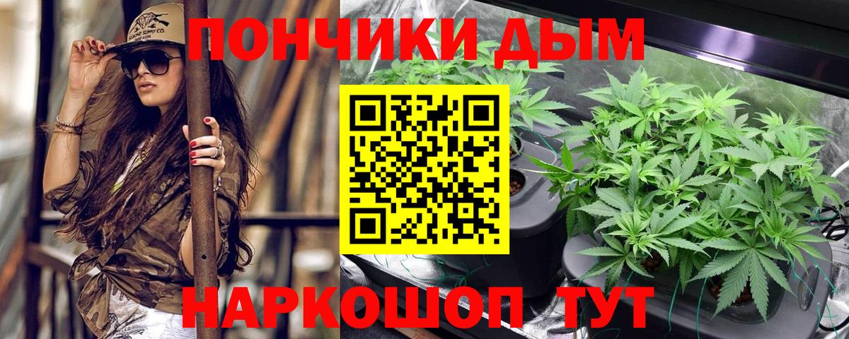 Каннабис Amnesia Лесной